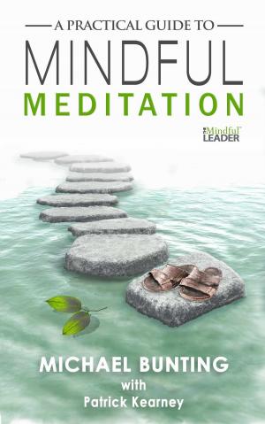 Book cover of A Practical Guide to Mindful Meditation