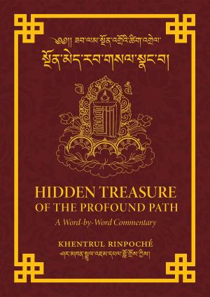 Cover of the book Hidden Treasure of the Profound Path by Charles Prebish