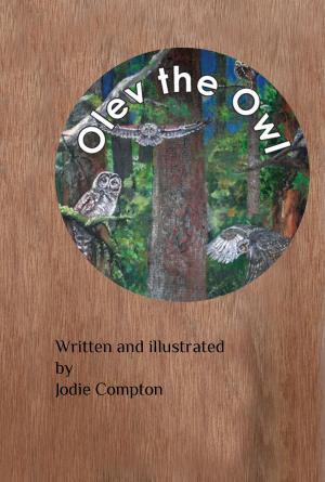 bigCover of the book Olev the Owl by 