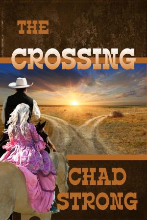 Cover of the book The Crossing by Mick Bogerman