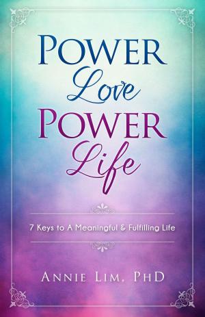 Cover of the book Power Love Power Life by Bolade Kingsworth