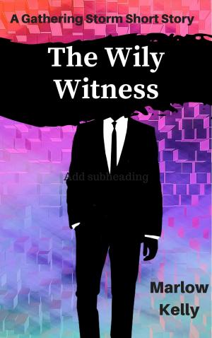Cover of the book The Wily Witness by Jennifer Silverwood