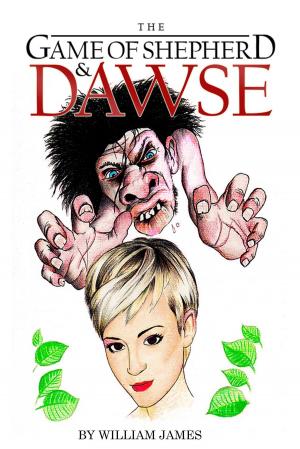 Cover of the book The Game of Shepherd and Dawse by Nicole James