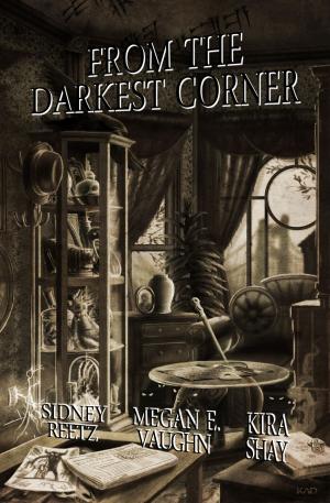 Cover of the book From the Darkest Corner by Stephen R Bailey