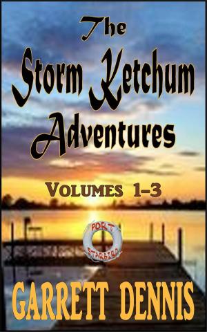 Cover of The Storm Ketchum Adventures: Volumes 1 - 3