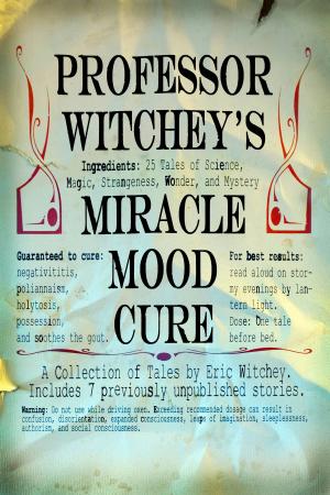 Book cover of Professor Witchey's Miracle Mood Cure