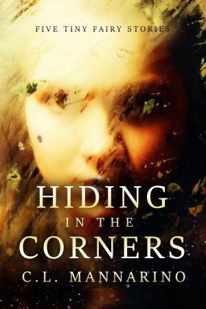Cover of the book Hiding in the Corners by Roslyn McFarland