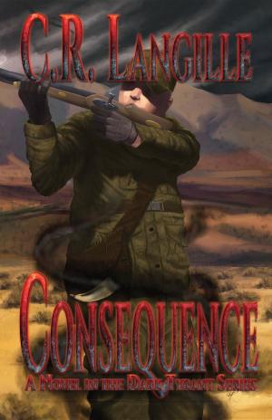 Cover of the book Consequence by Amanda Dubin