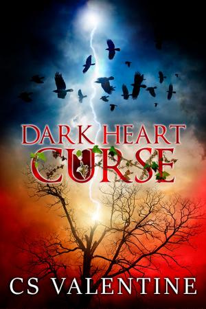 Book cover of Dark Heart Curse
