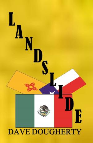 Cover of the book Landslide by Heinz Squarra