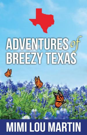 Book cover of Adventures of Breezy Texas