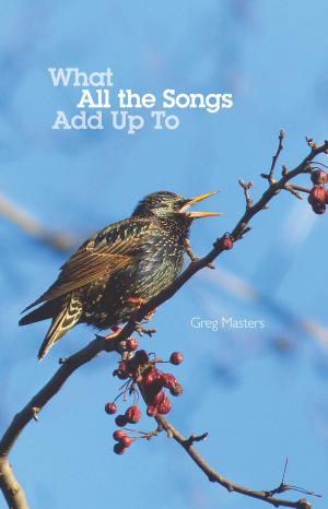 Cover of the book What All the Songs Add Up To by George E Dolney III