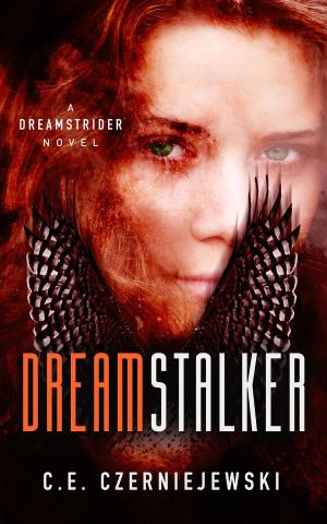 bigCover of the book Dreamstalker by 