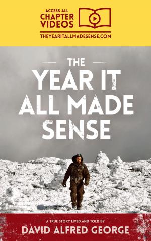 Cover of the book The Year It All Made Sense by DAVID KENNY