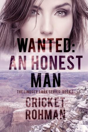 Book cover of Wanted: An Honest Man