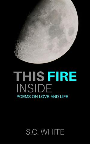 Cover of the book This Fire Inside by Vernon Jackman