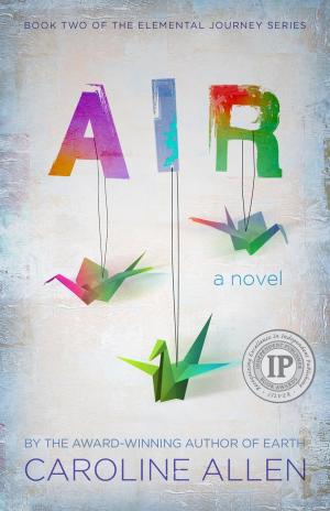 Cover of the book Air by Dan Beatty