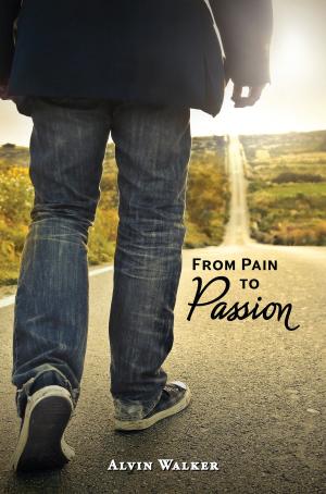 Cover of the book From Pain to Passion by Janice Grow Hanson
