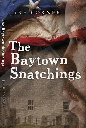 bigCover of the book The Baytown Snatchings by 