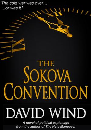 Cover of the book The Sokova Convention by Chris DiBella