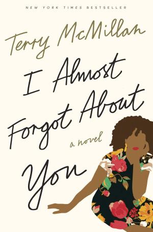 Cover of the book I Almost Forgot About You by Steve Lake