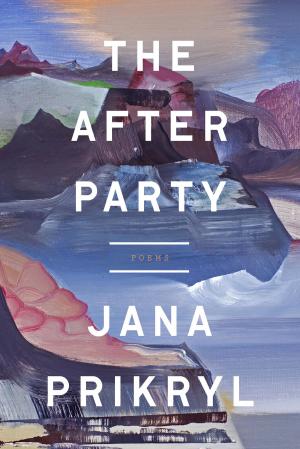 Book cover of The After Party