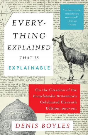 Cover of the book Everything Explained That Is Explainable by Nick Harkaway