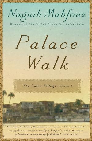 Cover of the book Palace Walk by Pico Iyer