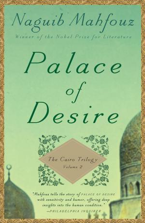 Book cover of Palace of Desire