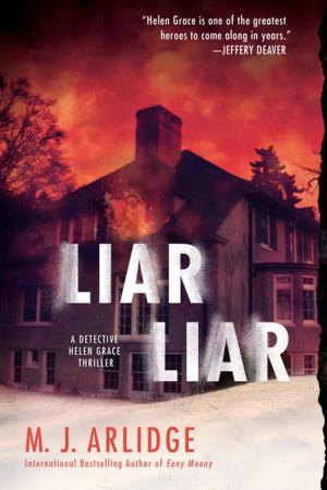 Cover of the book Liar Liar by Jon Sharpe