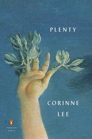 Cover of the book Plenty by Lynda Rutledge