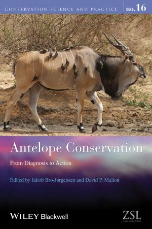 Cover of the book Antelope Conservation by Richard I. G. Holt, Neil A. Hanley