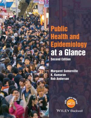 Cover of the book Public Health and Epidemiology at a Glance by Sue Fox