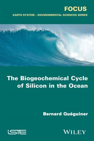 Cover of the book The Biogeochemical Cycle of Silicon in the Ocean by Stephen R. Londergan
