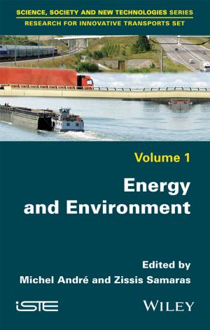 Cover of the book Energy and Environment by Joseph T. Wells