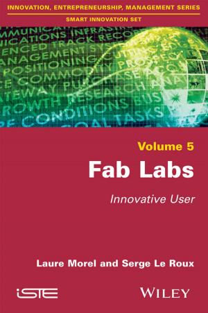 Cover of the book Fab Labs by Colin Davidson