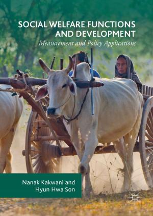 Cover of the book Social Welfare Functions and Development by D. Sinha