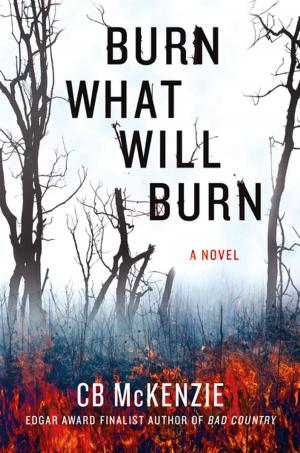 Cover of the book Burn What Will Burn by Anthony Arthur