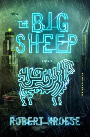 Cover of the book The Big Sheep by Shelley Emling