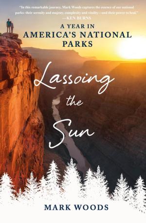 Cover of the book Lassoing the Sun by Martin Booth