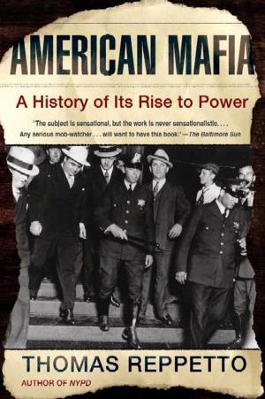 Cover of the book American Mafia by John Warner