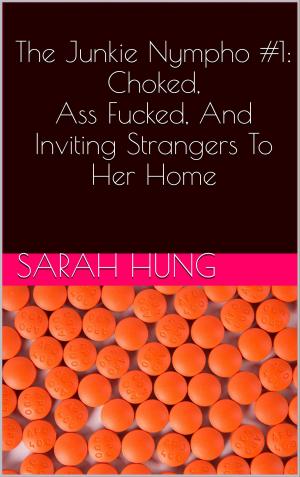 bigCover of the book The Junkie Nympho #1: Choked, Ass Fucked, And Inviting Strangers To Her Home by 