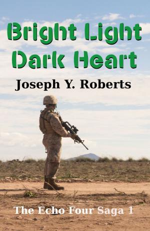 Book cover of Bright Light, Dark Heart: A Short Story