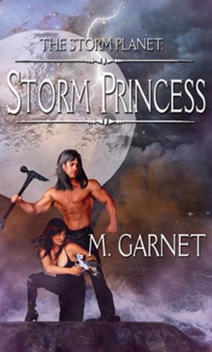 Cover of the book Storm Princess by Madelaine Montague