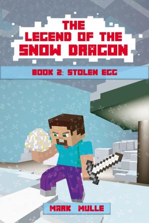 Cover of the book The Legend of the Snow Dragon, Book 2: Stolen Egg by Barbara Kyle