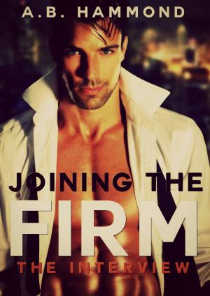 Cover of the book Joining the Firm: The Interview by LissyBergman