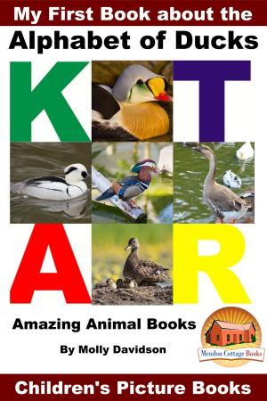 Book cover of My First Book about the Alphabet of Ducks: Amazing Animal Books - Children's Picture Books