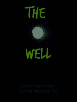 Cover of the book The Well by Mike Bozart
