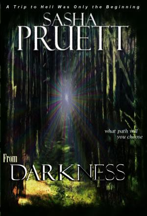 Cover of the book From Darkness by Van Pornaras