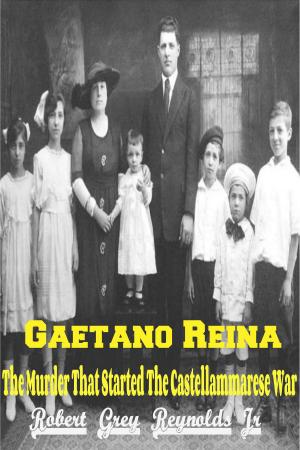 Book cover of Gaetano Reina The Murder That Started The Castellammarese War